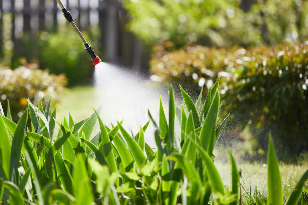 24/7 Emergency Wasp Removal experts in Nokomis, IL