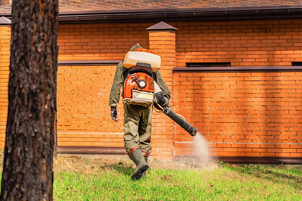 Top rated local Wasp Removal specialists in Nokomis, IL